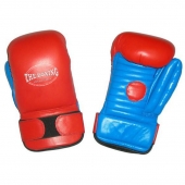 Punching Mitts